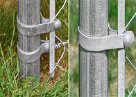 120mm 1-3 / 8 '' เหล็กชุบสังกะสี Tension Band Chain Link Fence Fence
